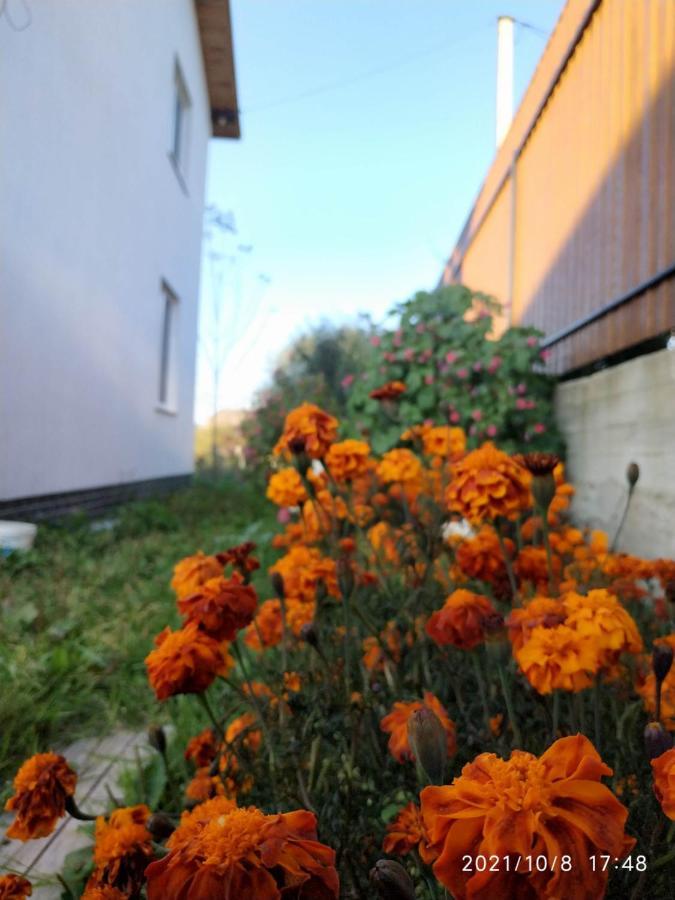 Nestg Guest House Pilipets Exterior foto