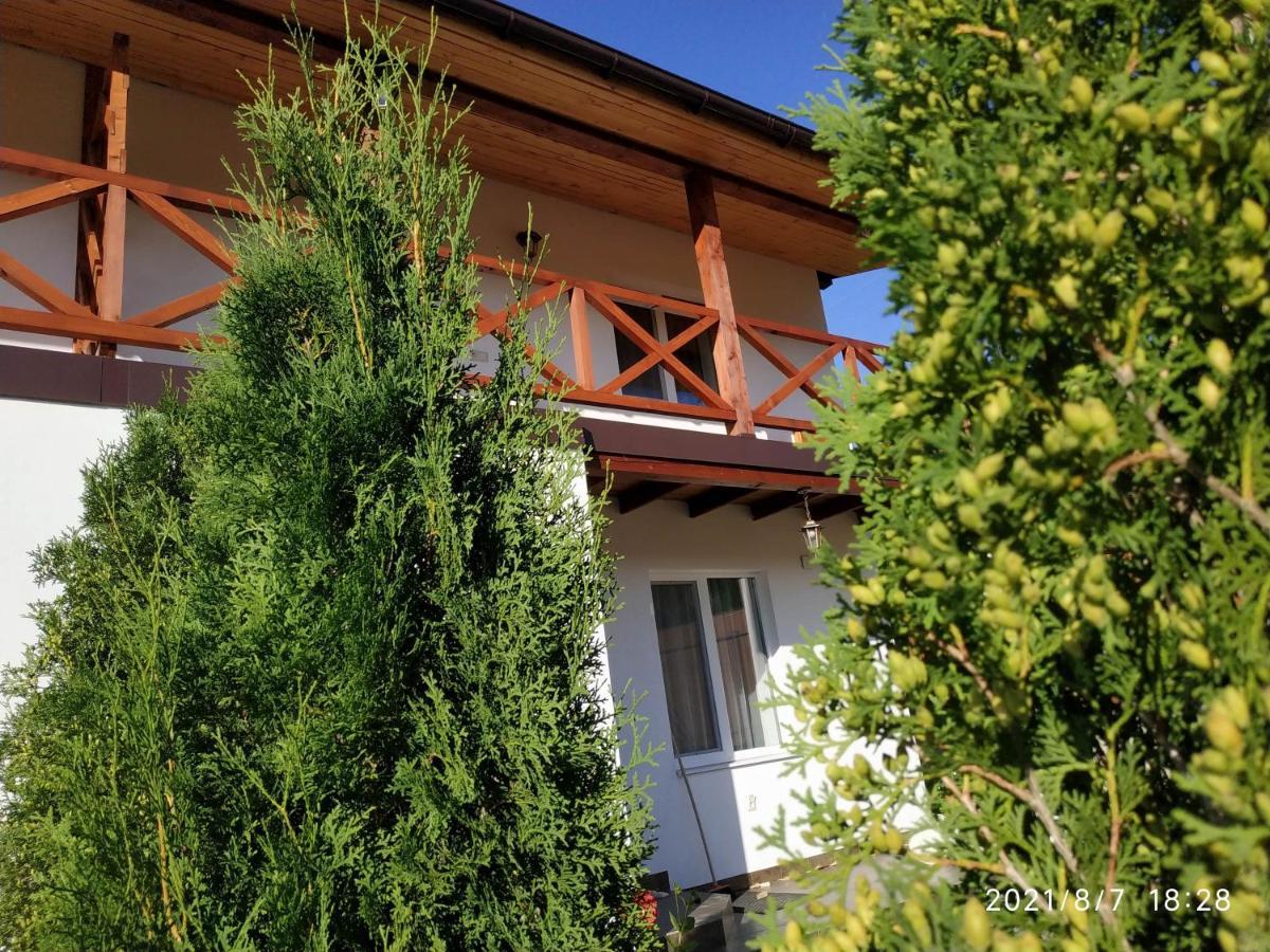 Nestg Guest House Pilipets Exterior foto