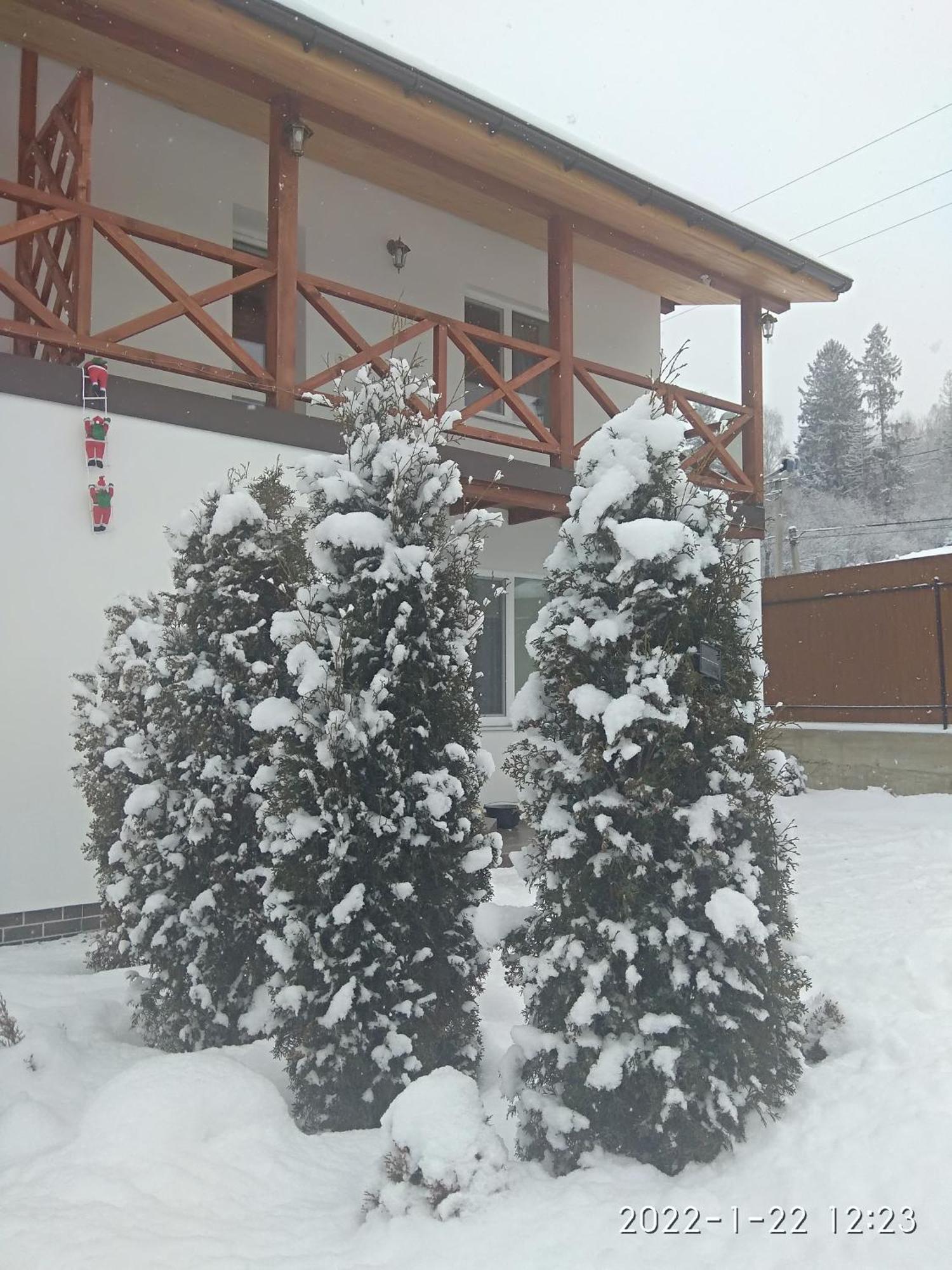 Nestg Guest House Pilipets Exterior foto